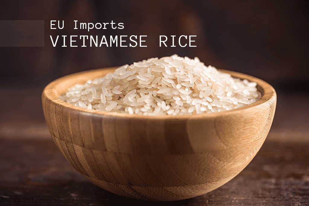 Focuses on the trade opportunity for Vietnamese rice in the EU market, citing import data.