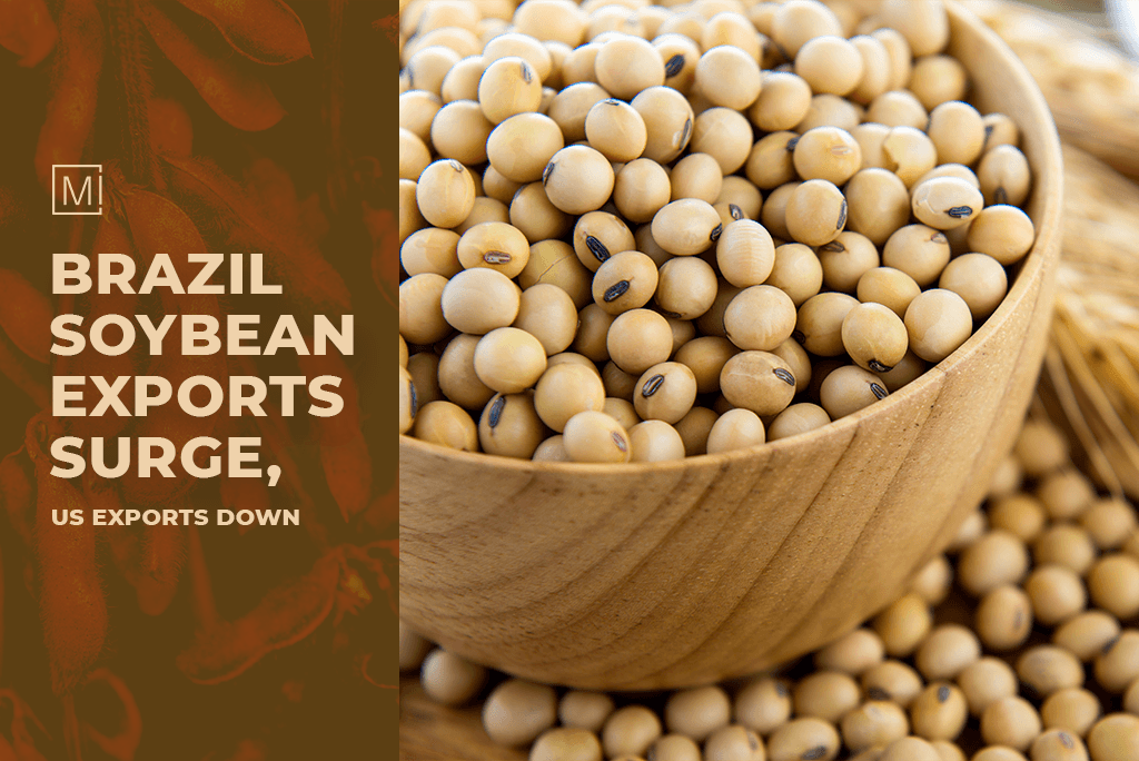 Directly compares the export performance of Brazil and the US in the soybean market.