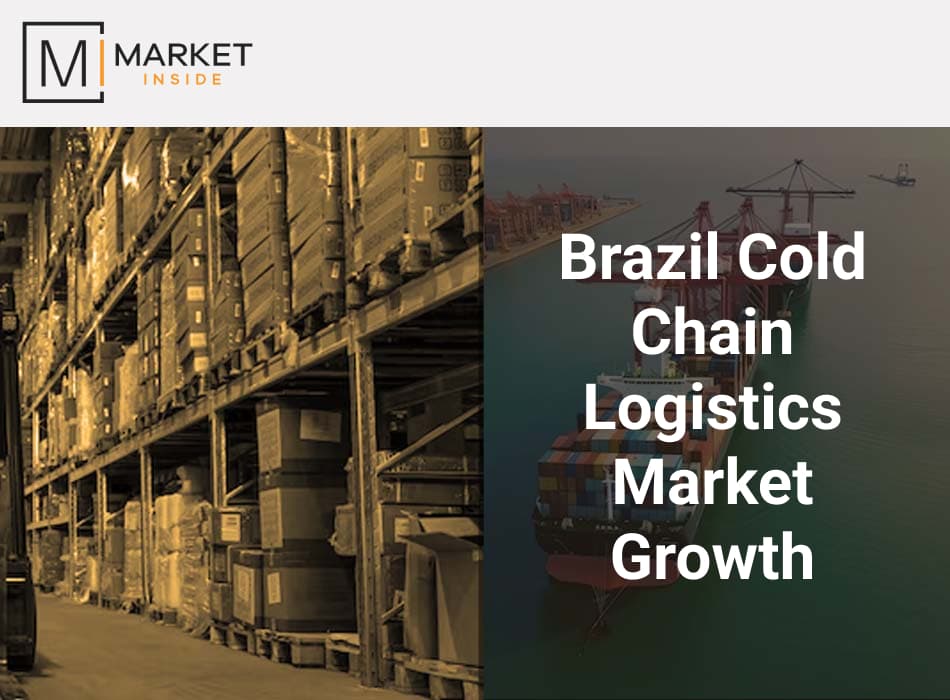 Analyzes a specific logistics segment in Brazil, using market size and growth forecasts to show opportunities.